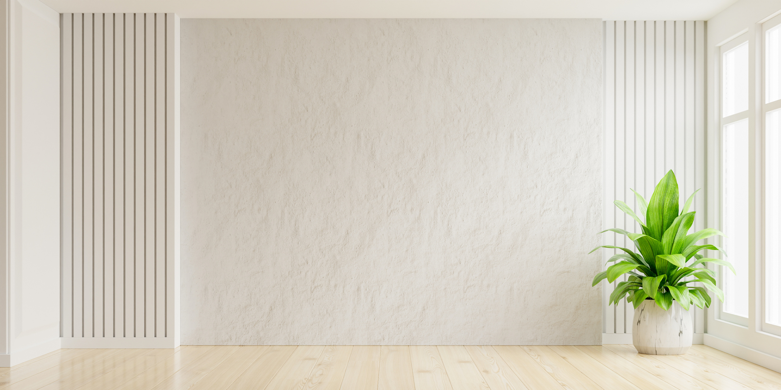 White Plaster Wall Empty Room with Plants